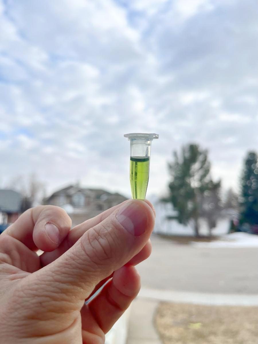 Vial sample